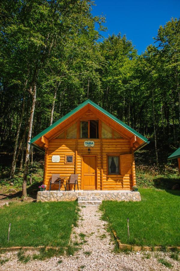Waterfall Rafting Center Scepan-Polje Extérieur photo